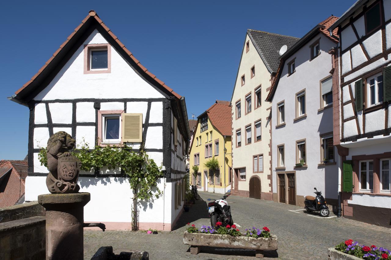 Burggarten Appartements Neuleiningen Esterno foto